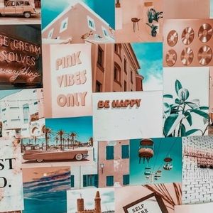 Meet your Posher, Bella